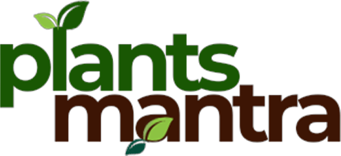 Home plant mantra logo removebg preview